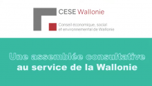 Animation de présentation du CESE Wallonie