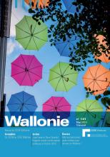 Revue Wallonie n°141